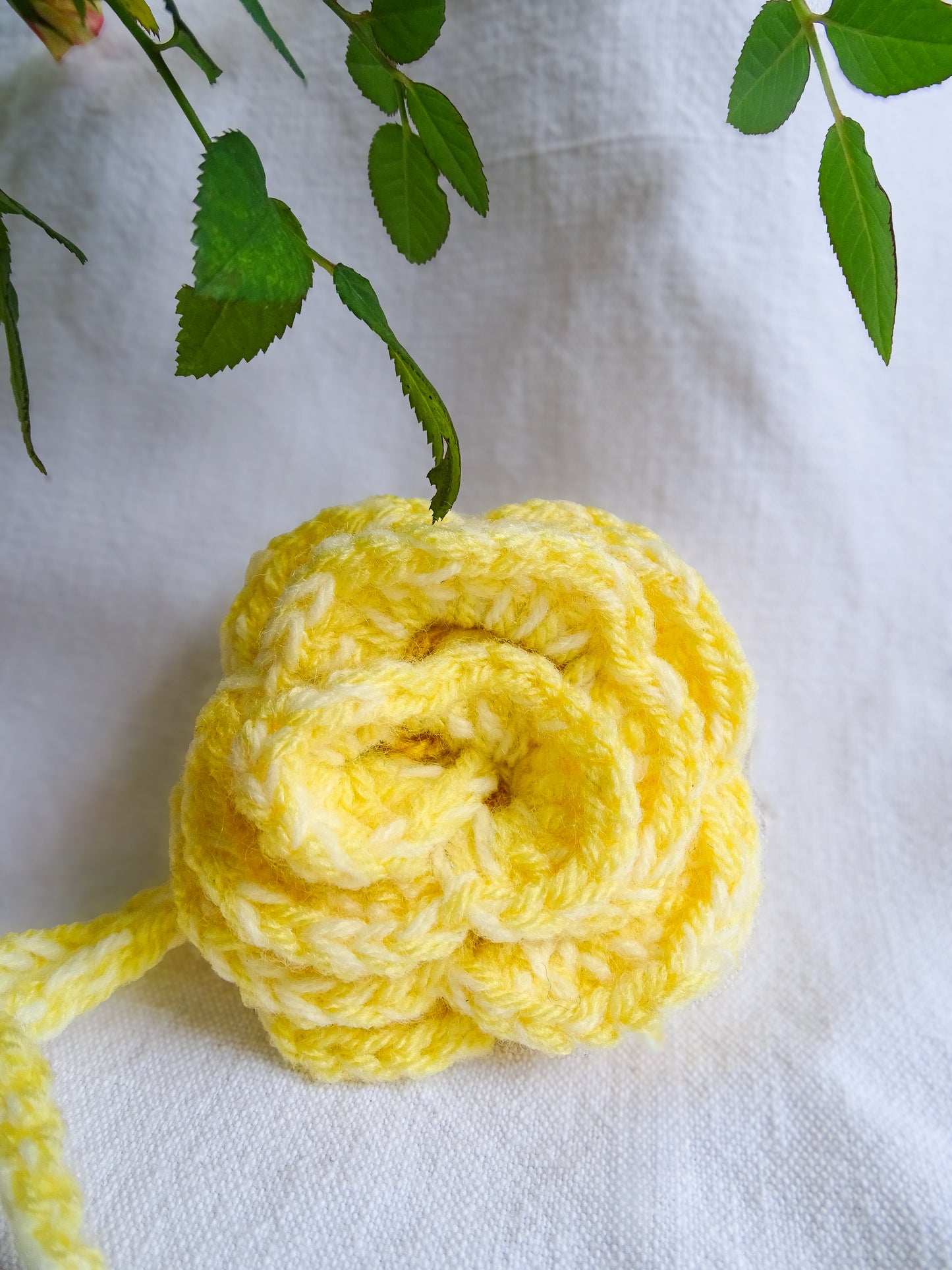 Fleur Jaune