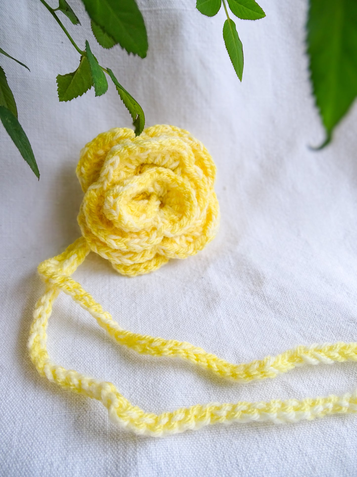 Fleur Jaune